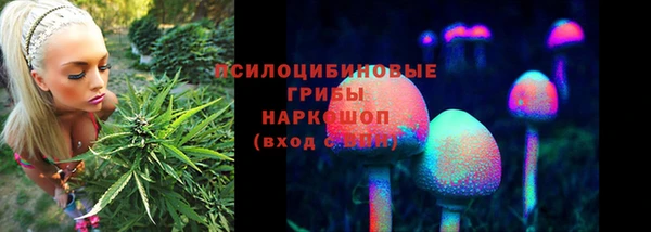 стафф Волоколамск