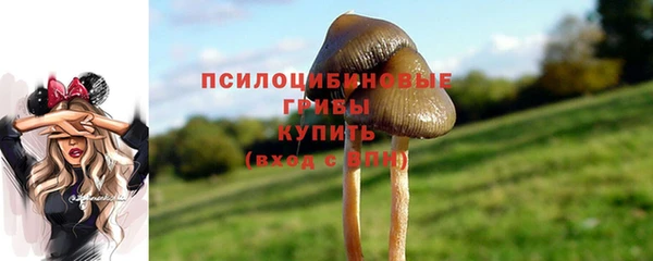 мдма Володарск