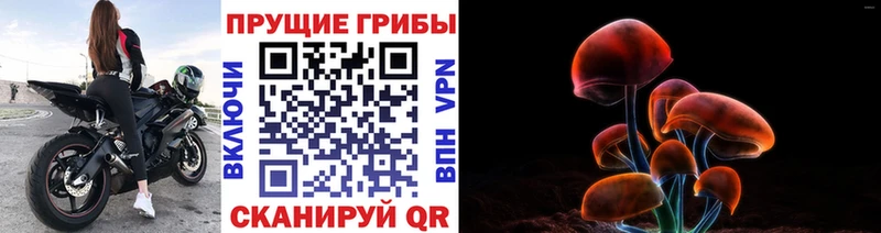 Псилоцибиновые грибы мухоморы  Новошахтинск 